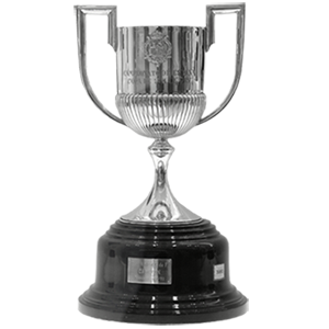 domesticcup Trophy